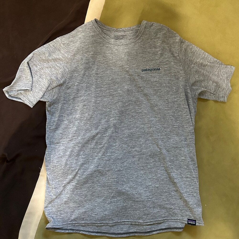 Patagonia Capilene Cool Daily Graphic Tee